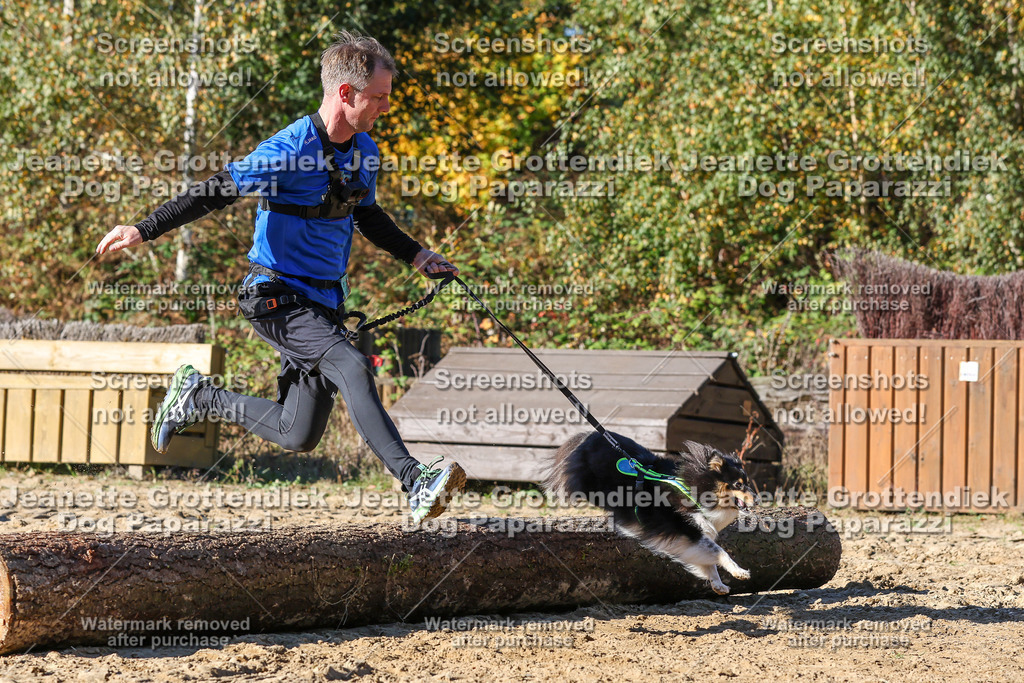 Dog Paparazzi - Strongdog 10-25-2498 | Dog Paparazzi Jeanette Grottendiek Fotografie & Videografie - Realisiert mit Pictrs.com