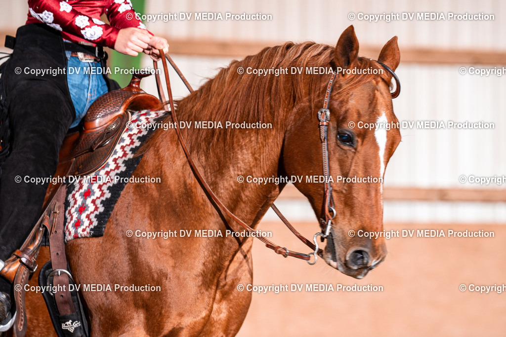 Balingen Tag 1-495 | dv-media-shop - Realisiert mit Pictrs.com