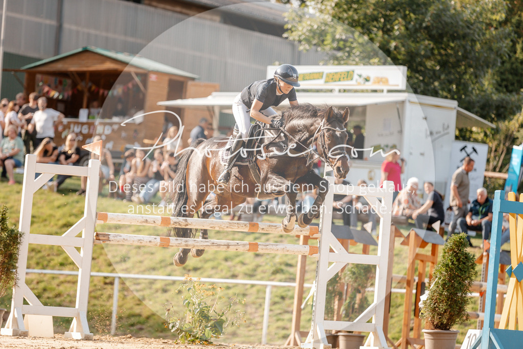 3I6A5063 | Stimmungsvolle Portraits und Reitsportfotografie im Ruhrgebiet und im Münsterland.

Pferdefotografie, Hundefotografie, Tierfotografie, Reportagen, Portraits von Tier und Mensch, Turnierfotografie in Bochum, Recklinghausen, Marl, Haltern am See, Dülmen.. - Realisiert mit Pictrs.com