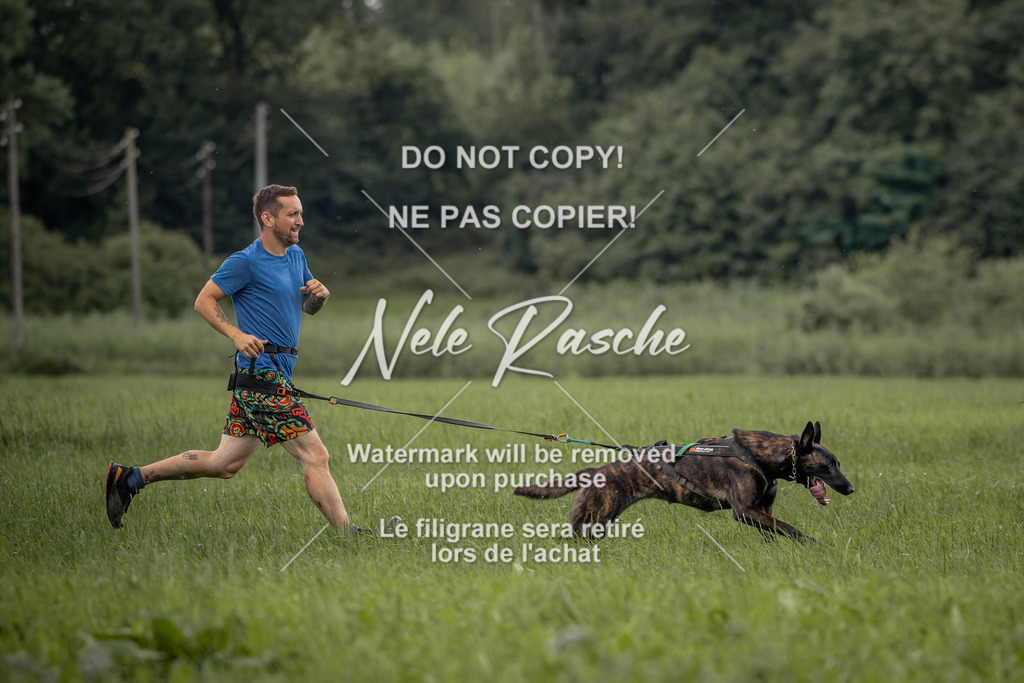 nelerasche_DoN_160 | nelerasche