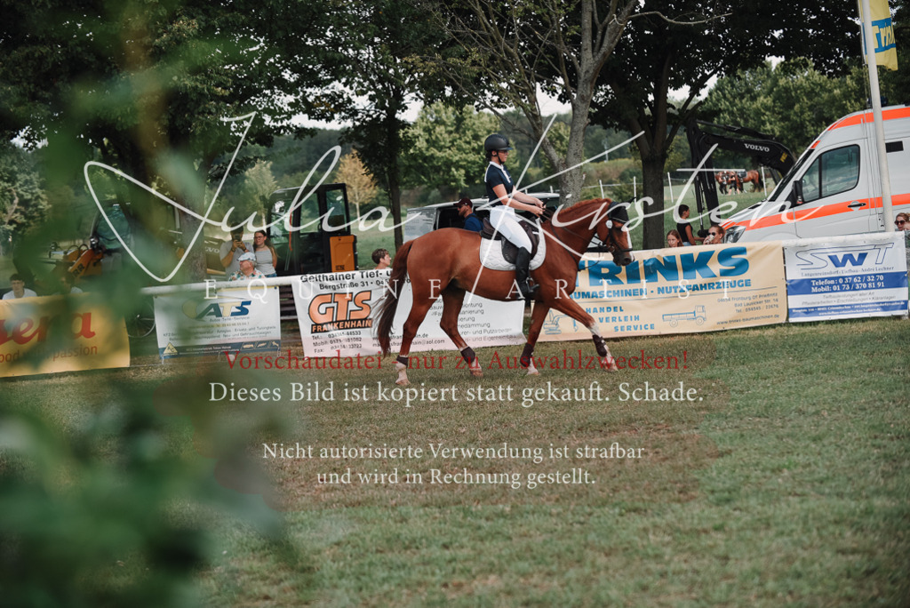 DSC_5596 | Pferde- und Turnierfotografie in Westsachsen. Pferdeportraits, Auftragszeichnungen und intuitive Kunst.