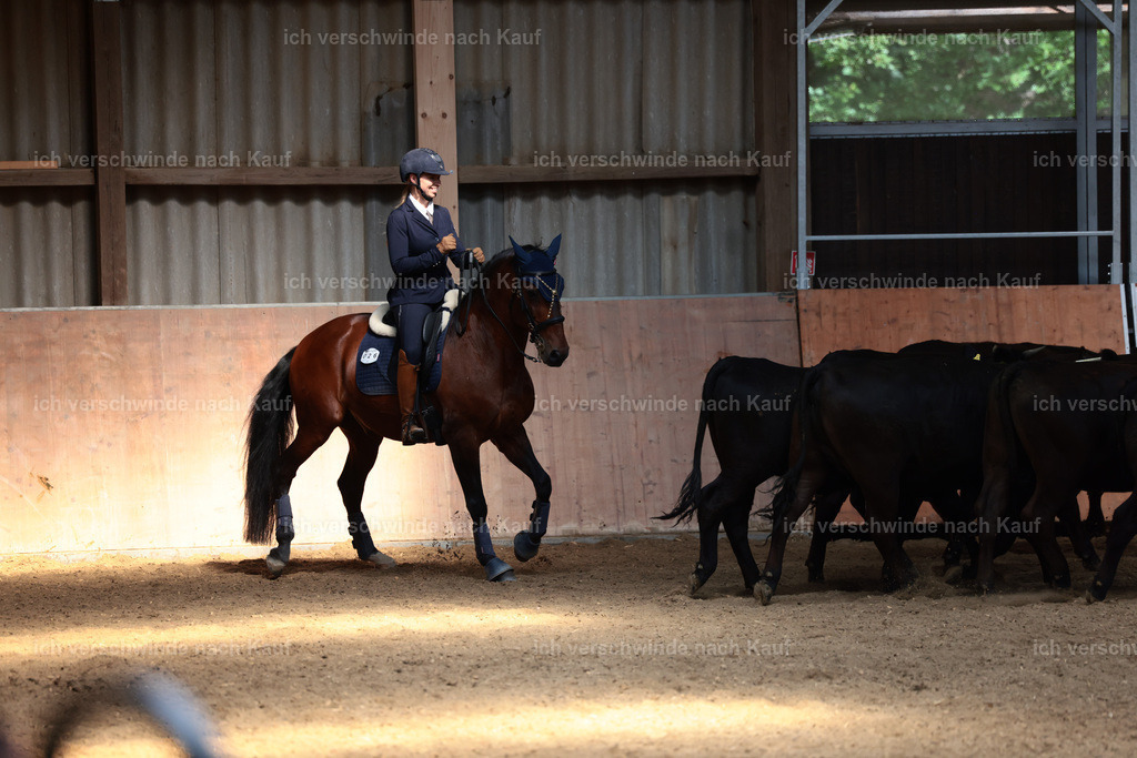 Masterclass_stoibphotography_C2_L7378.JPG | working equitationturnier fotograf videograf stoibphotography marixx film working equitation deutschland reitsport turnierfotografie eventfotografie equestrian events