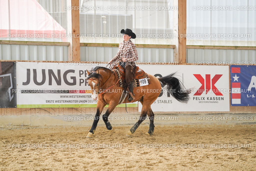 DSC05648 | Pferdegrafie