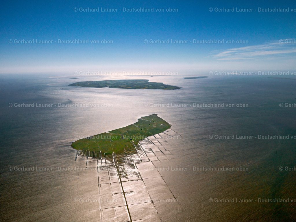 3091368 | Nordstrandischmoor, Pellworm Nationalpark Schleswig-Holsteinisches Wattenmeer
