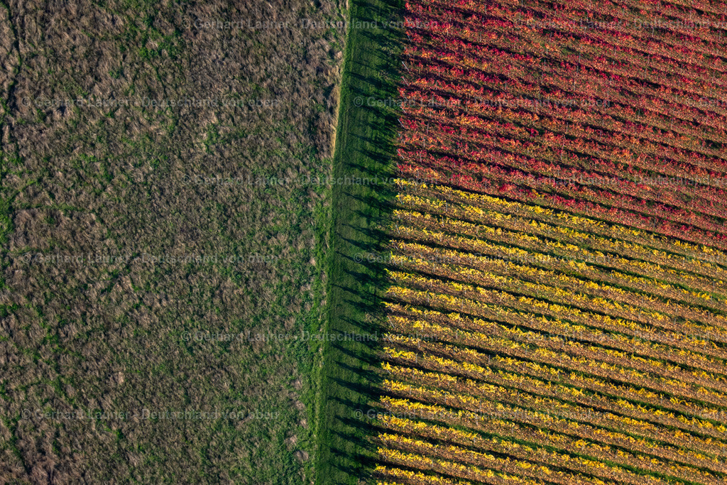 3905275 | Weinberge am Busigberg Großheubach