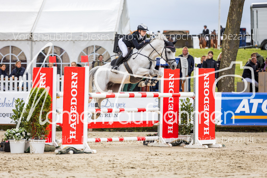 BHO-2PhSpr-M-5-2169 | MomenTaufnahmen Pferdesportfotos
