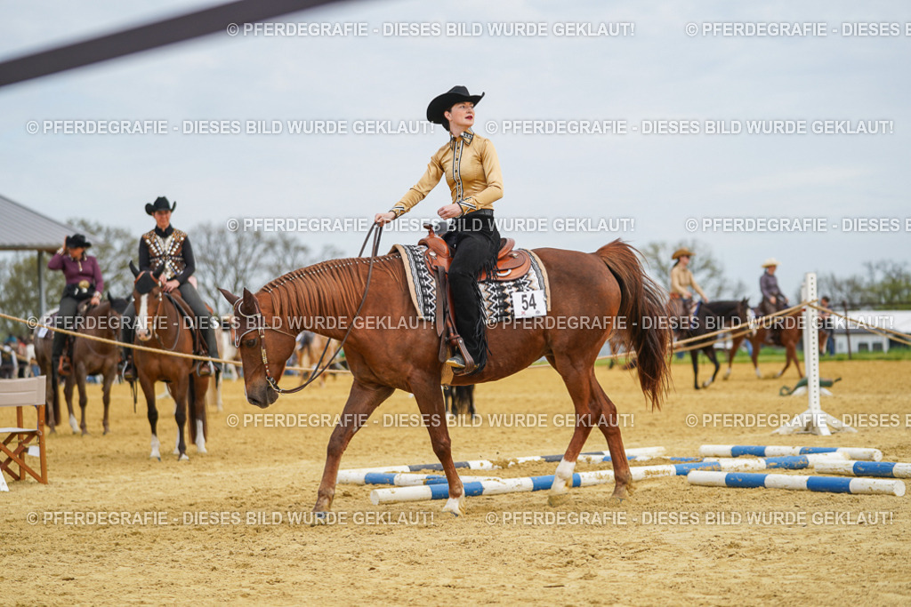 DSC03356 | Pferdegrafie