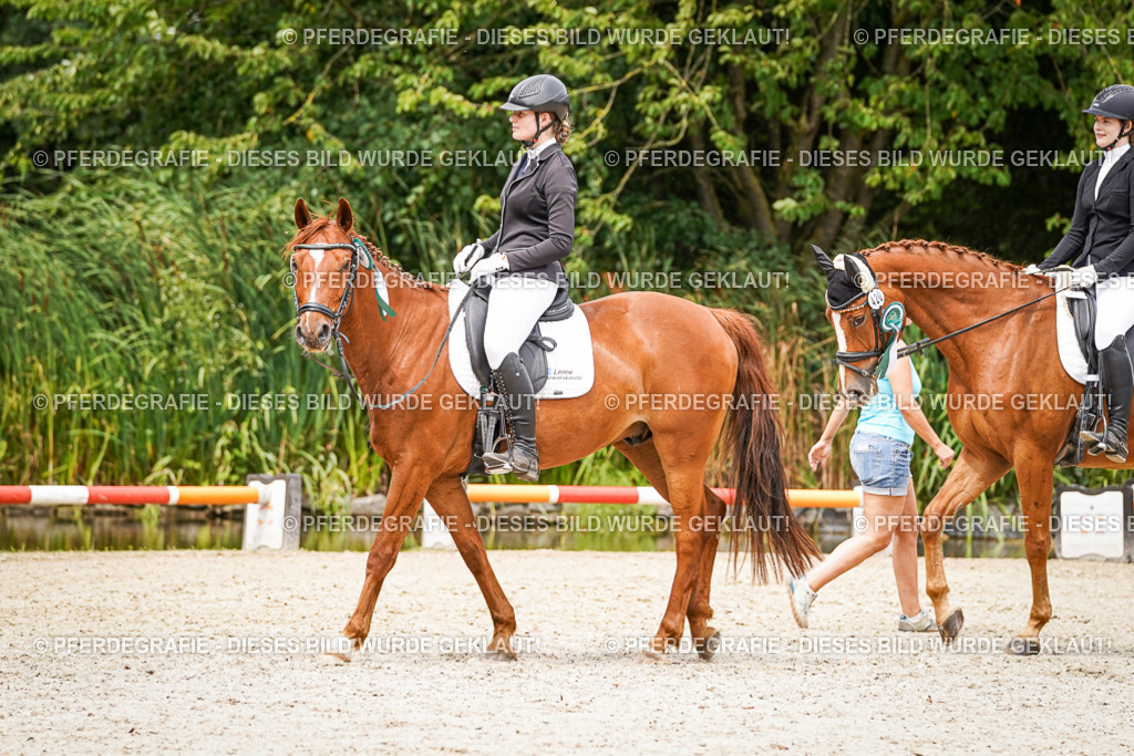 DSC04679 | Pferdegrafie