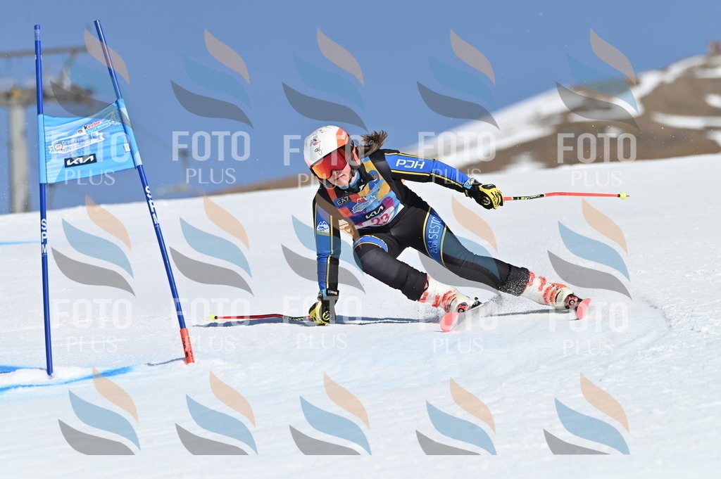 BGV_8001 | holidayphoto