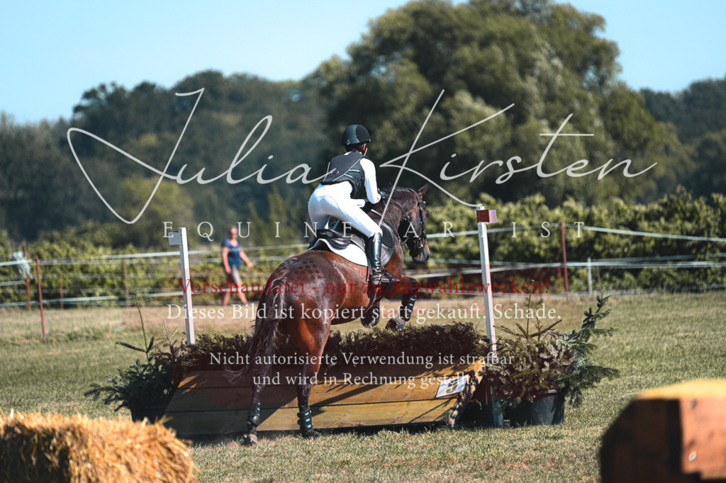 DSC_8210 | Pferde- und Turnierfotografie in Westsachsen. Pferdeportraits, Auftragszeichnungen und intuitive Kunst.