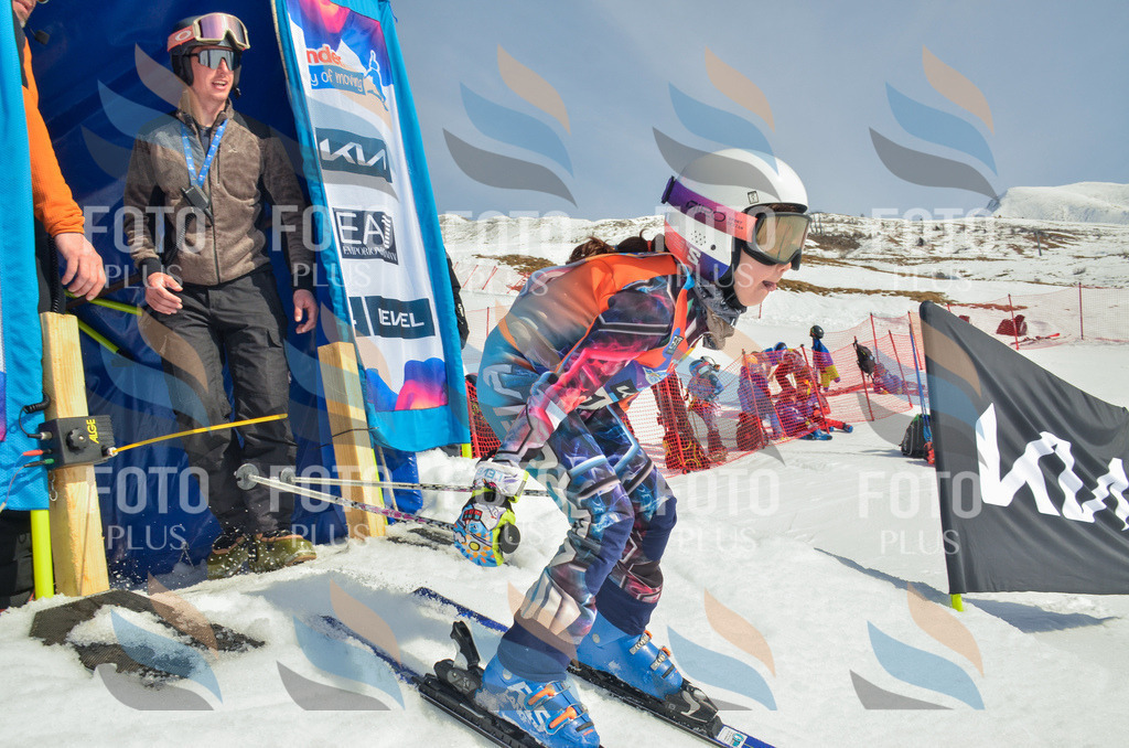 _ELE4548 | holidayphoto