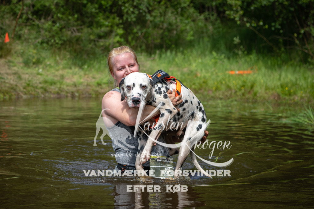 1229DKK992970 | kk-dogfotos