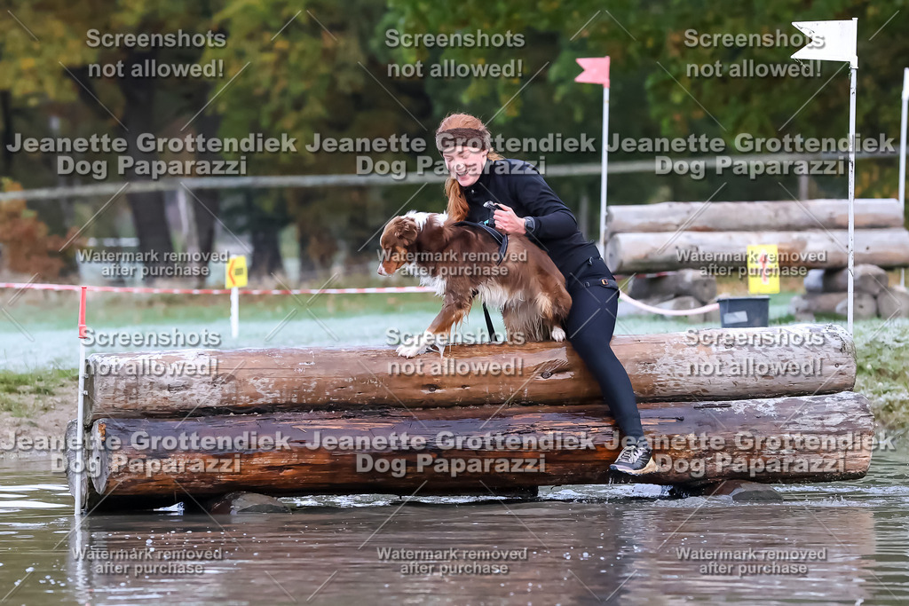 Dog Paparazzi - Strongdog 10-25-6161 | Dog Paparazzi Jeanette Grottendiek Fotografie & Videografie - Realisiert mit Pictrs.com