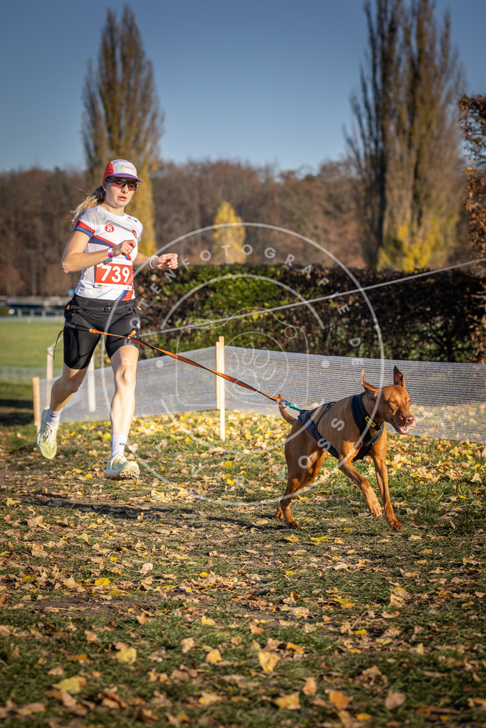 CaniXpix_DV3A2215 | Hundefotografie, Tierfotograf, Pfotenfotografie, Fotoshooting Hund, Hunde Portrait, Hundesport, Hundeportraits, Heideshooting, Hunde, Sportfotograf, Hundefotograf, Turnierhundsport, THS,  - Realisiert mit Pictrs.com