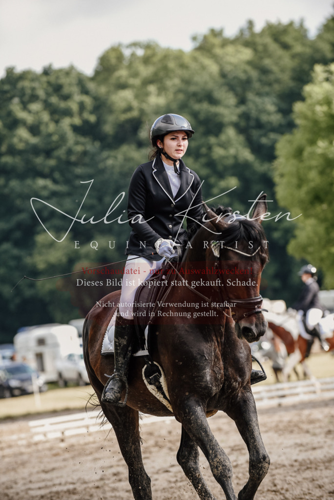 DSC_8676 | Pferde- und Turnierfotografie in Westsachsen. Pferdeportraits, Auftragszeichnungen und intuitive Kunst.