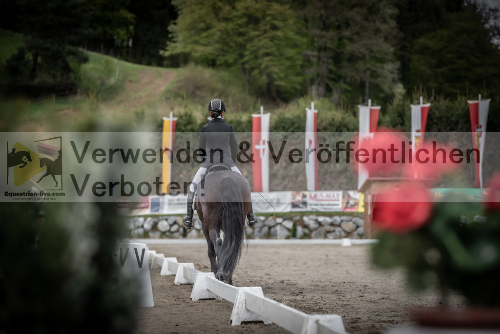 DSC_3174 | equestrian-live-com