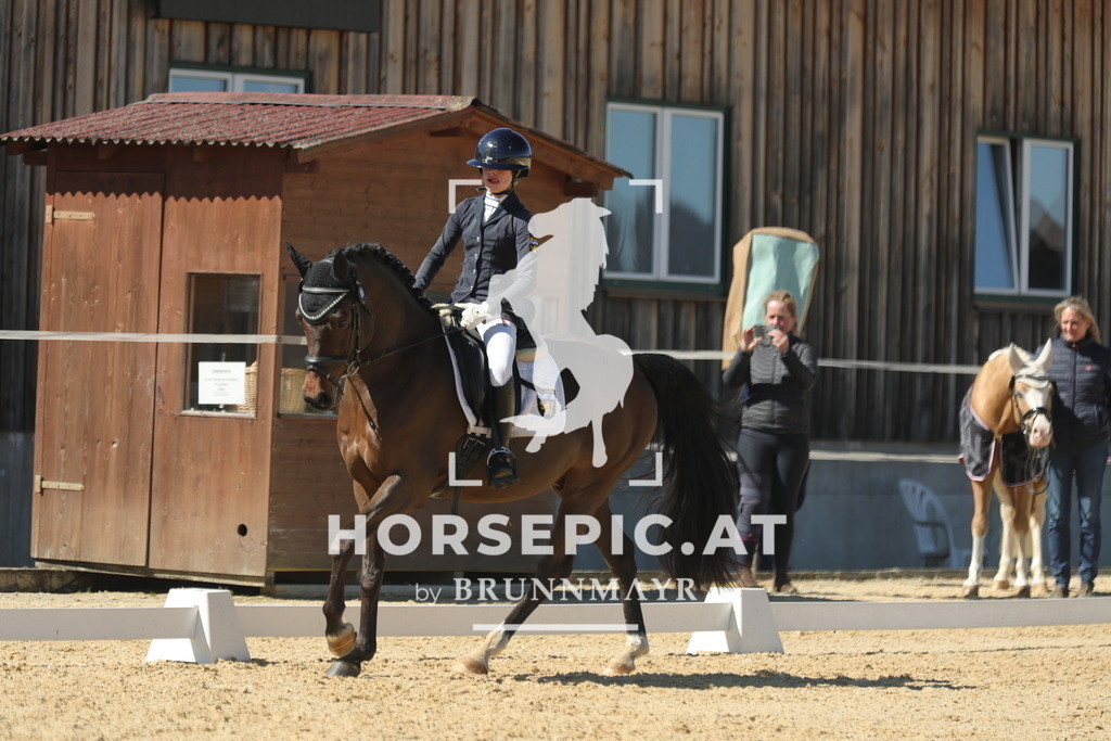 0P6A7407 | Willkommen bei Brunnmayr - Design & Fotografie – Ihrem Spezialisten für Reitturniere und Pferdeveranstaltungen in Oberösterreich, Salzburg und Bayern! Seit über 17 Jahren sind wir leidenschaftlich dabei.