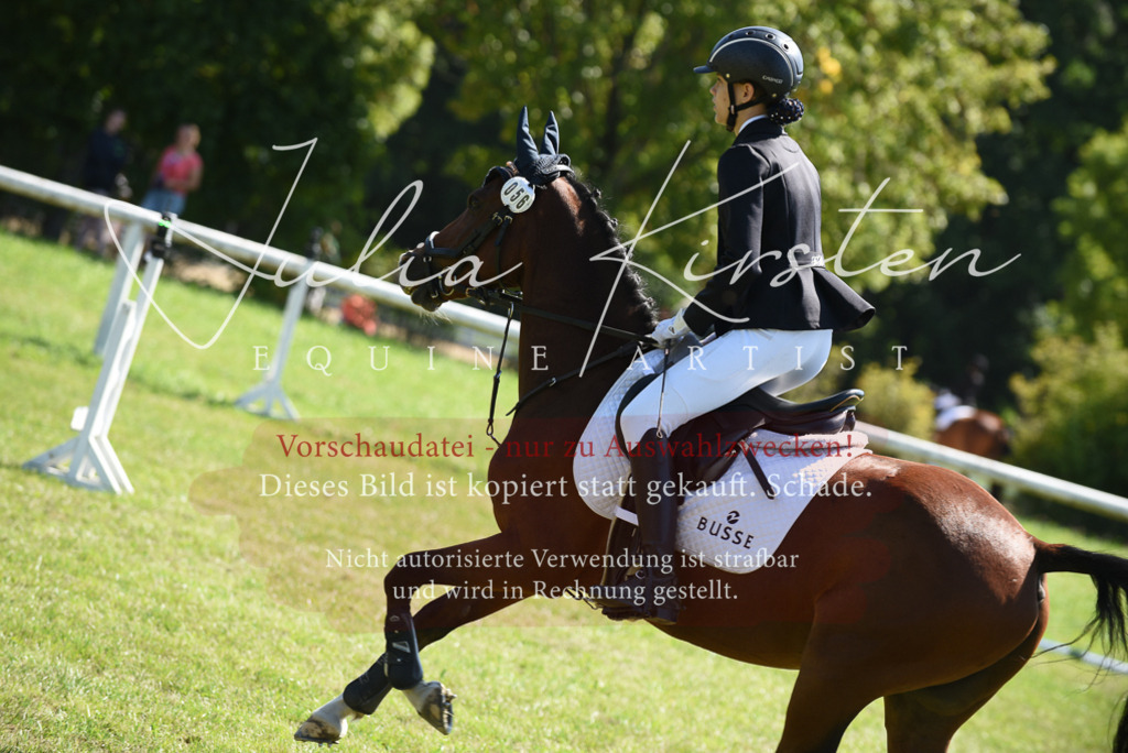 DSC_9561 | Pferde- und Turnierfotografie in Westsachsen. Pferdeportraits, Auftragszeichnungen und intuitive Kunst.