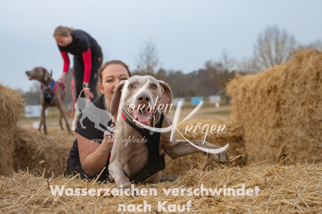 0840_ZZ94137 | kk-dogfotos