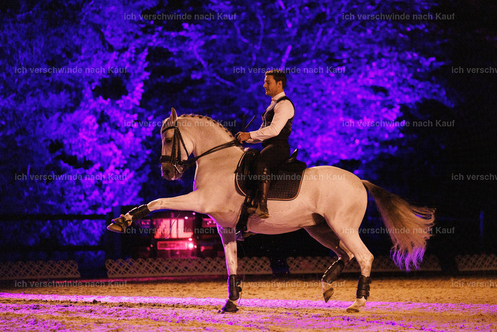 FHClassics-325 | working equitationturnier fotograf videograf stoibphotography marixx film working equitation deutschland reitsport turnierfotografie eventfotografie equestrian events