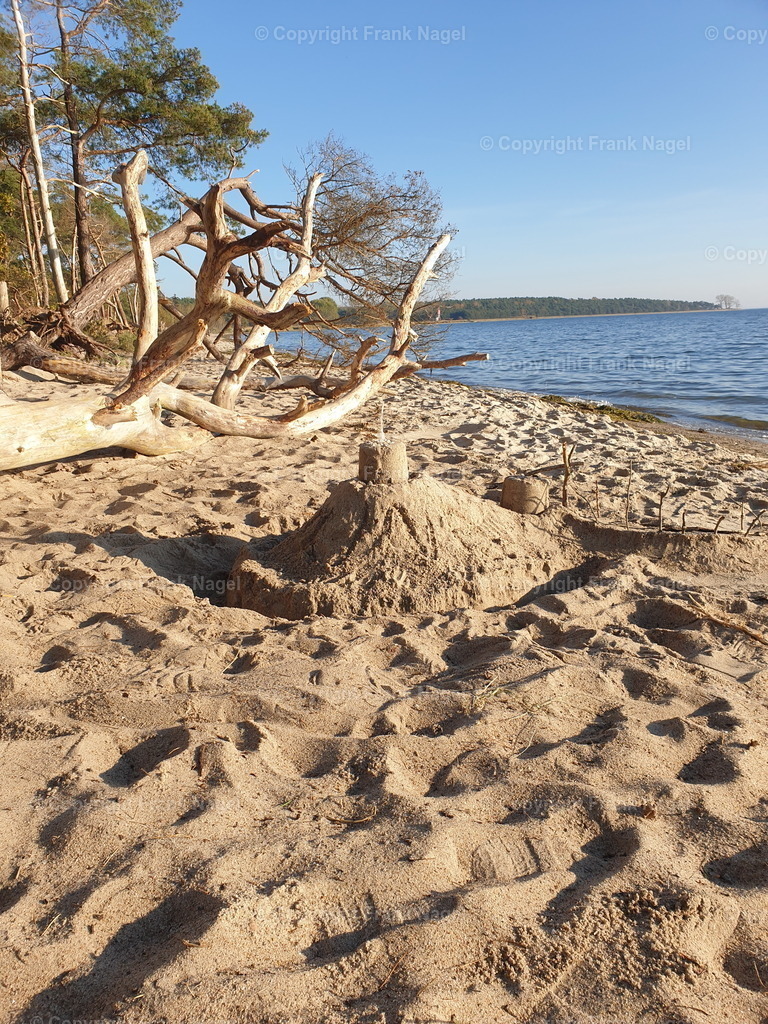 Zicker Strandidylle am Pritzwalder Strand  | Auf der Halbinsel Zudar findet man idyllische naturnahe Strandbereiche. - Realisiert mit Pictrs.com