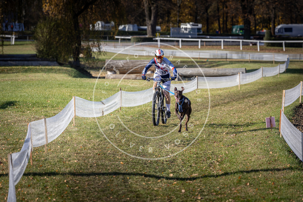 CaniXpix_DV3A3941 | Hundefotografie, Tierfotograf, Pfotenfotografie, Fotoshooting Hund, Hunde Portrait, Hundesport, Hundeportraits, Heideshooting, Hunde, Sportfotograf, Hundefotograf, Turnierhundsport, THS,  - Realisiert mit Pictrs.com