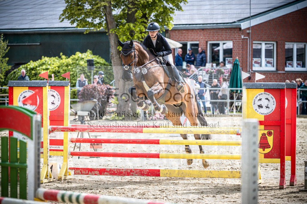 DOS_2234 | Reitturnier Lüdinghausen - Realisiert mit Pictrs.com
