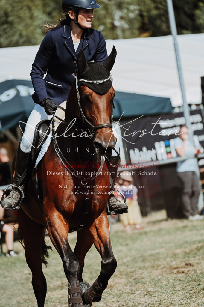 DSC_9400 | Pferde- und Turnierfotografie in Westsachsen. Pferdeportraits, Auftragszeichnungen und intuitive Kunst.