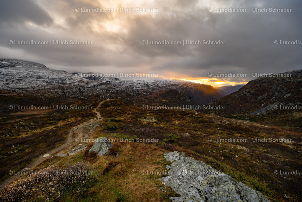 10047-10077 - Am Sognefjell - Norwegen | Stockfoto und Bilderpool mit Bildmaterial aus Deutschland, dem Harz, Halberstadt, Quedlinburg, Wernigerode und weltweit. Qualitativ hochwertige und professionelle Fotos anschauen und kaufen. - Realisiert mit Pictrs.com