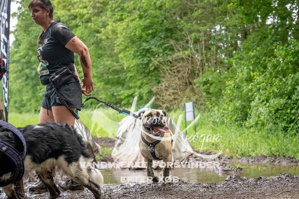1538_ZZ94640-Bearbeitet | kk-dogfotos