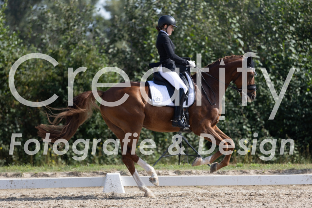 IMG_3182 | Creatify Fotografie