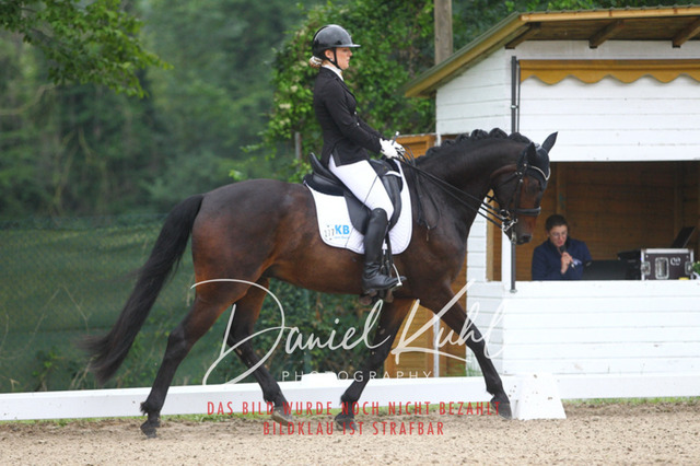 DKP40015 | Turniersportfotografie; Pferdefotografie; Dressurfotografie