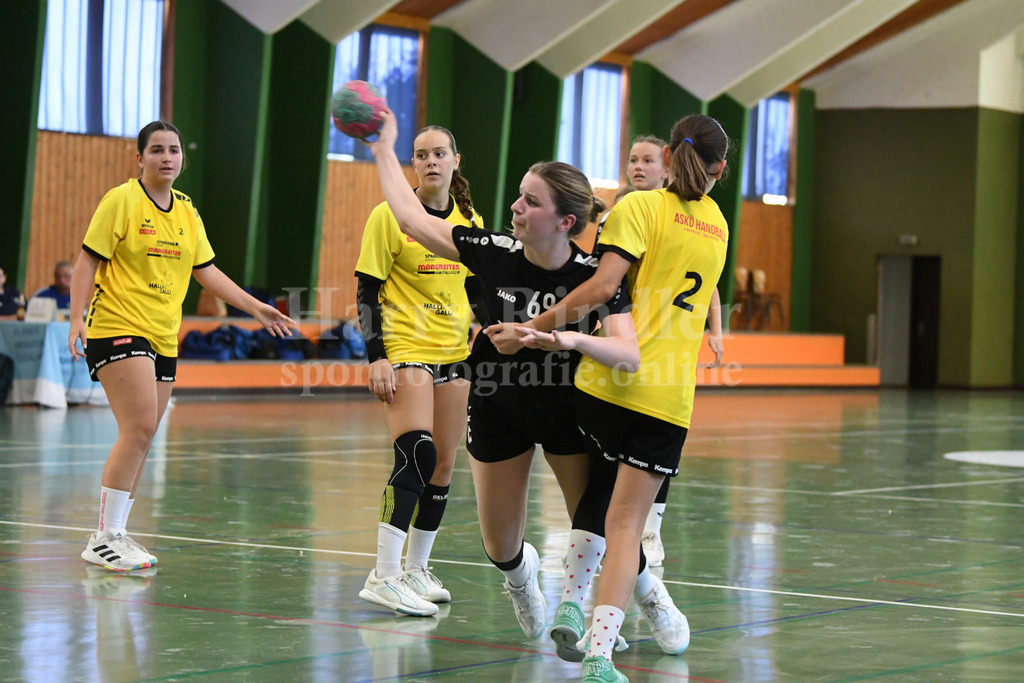 SSG Metten Handball Nachwuchs | SSG Metten weibliche A-Jugend im Spiel gegen die  SG Lions Handball aus Tirol - Realisiert mit Pictrs.com