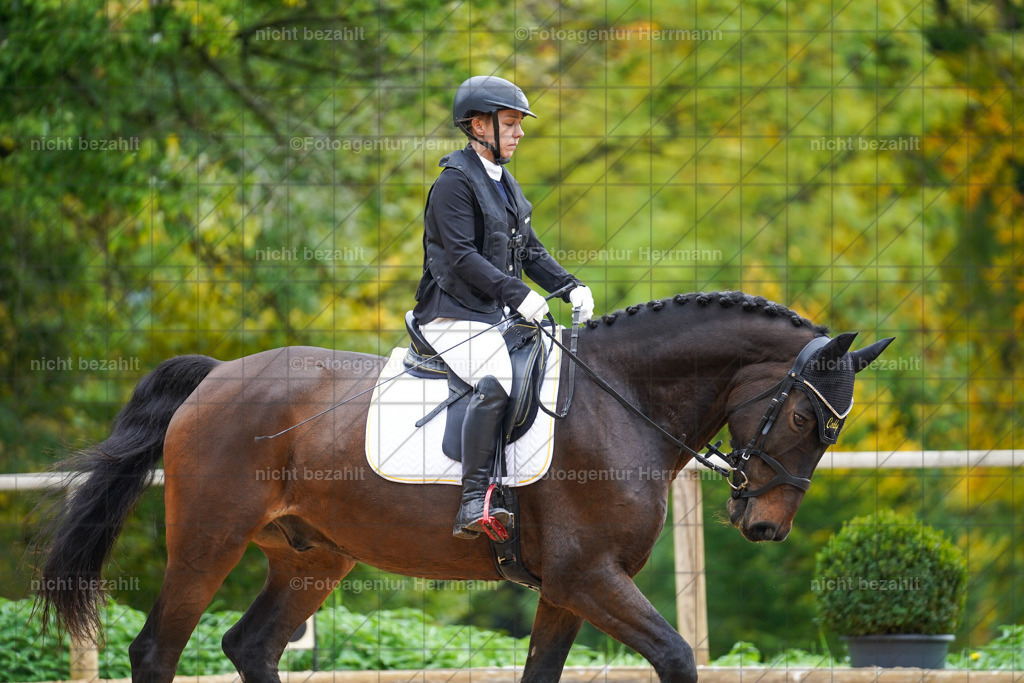 20221008-FAH01105 | Diessen am Ammersee, 2022, Dressur- und Springturnier, Reitsportbilder, Turnierfotografen Bayern, Pferdefotografen, Fotoagentur Herrmann, Turnierbilder