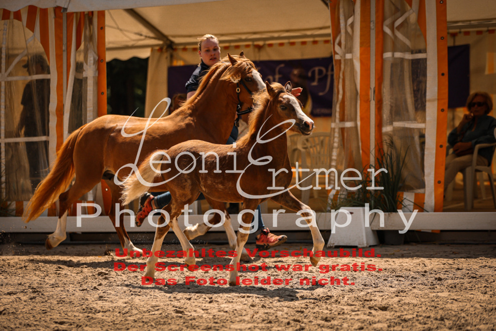 04.DoWP00020 | Leoni Ertmer Photography - Realisiert mit Pictrs.com