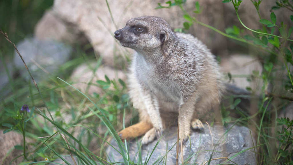 Stukenbrock, Deutschland | Die schönsten Bilder für Ihre Räume online bestellen! In unseren Bildergalerien findet Sie alles was es für Ihre Räume braucht. Lassen Sie sich überraschen ☺️ - Realisiert mit Pictrs.com