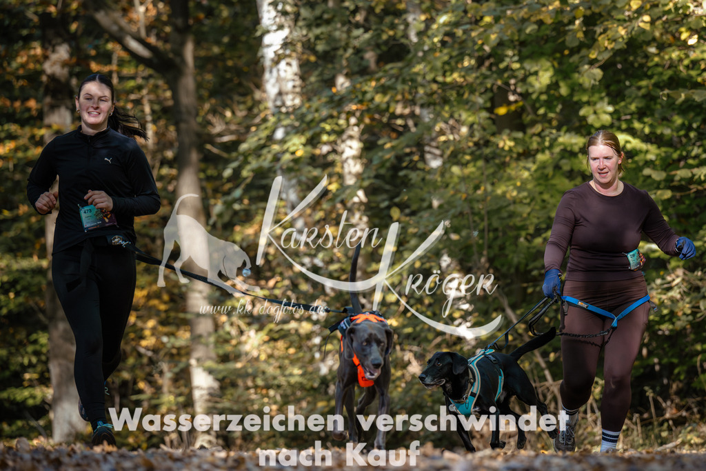 1121_ZZ92104 | kk-dogfotos