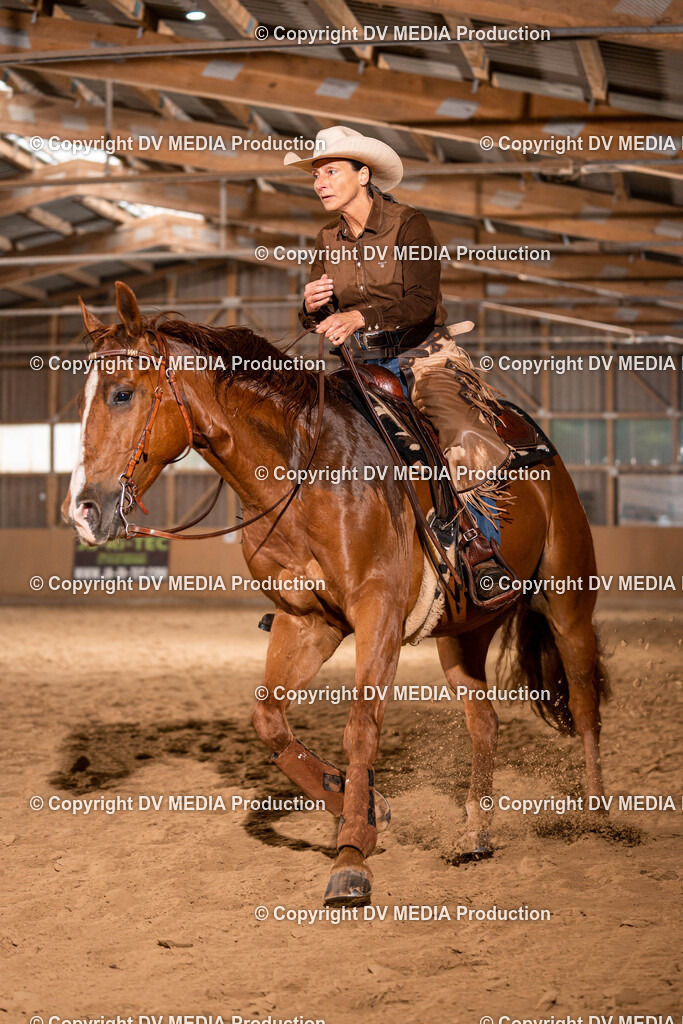 Losheim Tag 1-68 | dv-media-shop - Realisiert mit Pictrs.com