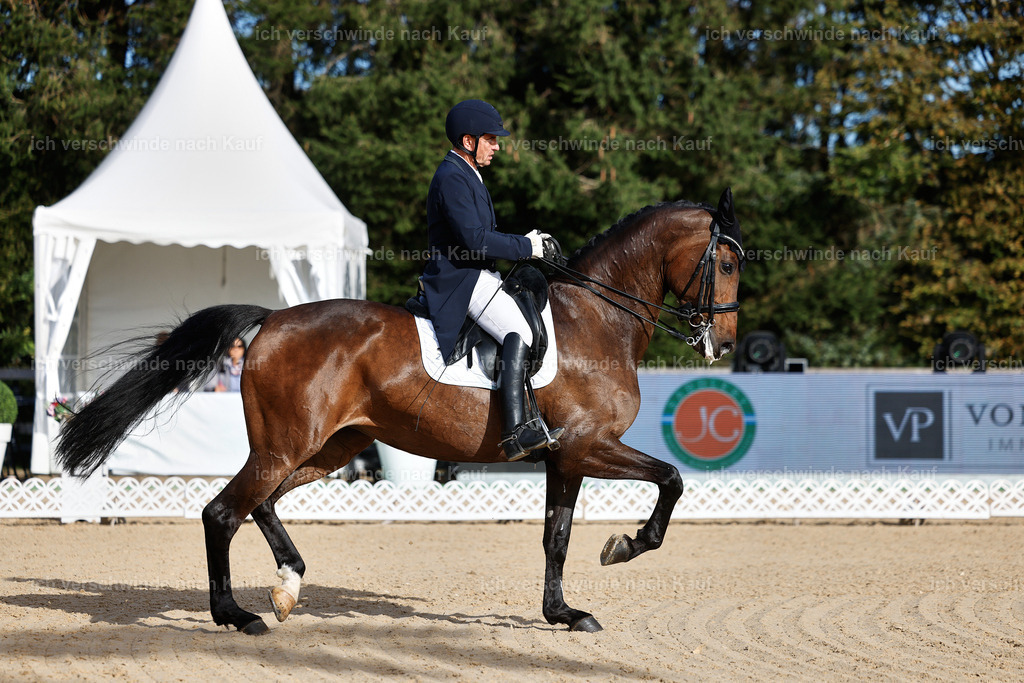 13-226-S___ -StoibPH-6914 | working equitationturnier fotograf videograf stoibphotography marixx film working equitation deutschland reitsport turnierfotografie eventfotografie equestrian events