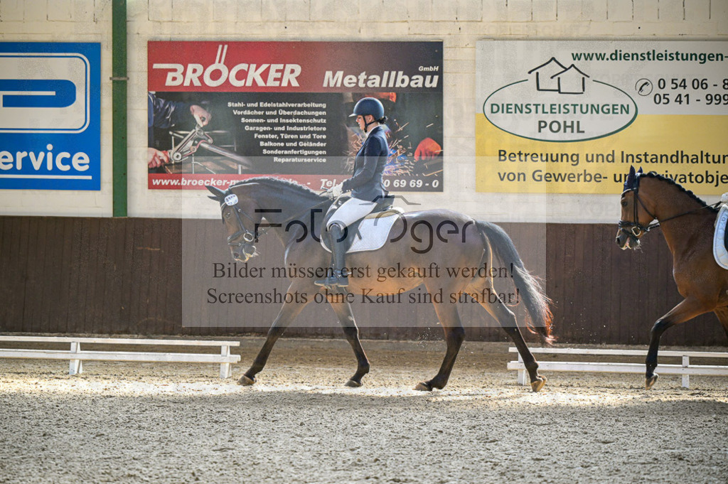 Reitturnier Voxtrup | Entdecke hochwertige Reitturnierfotos von Foto Oger. Professionell, emotional und authentisch – jetzt Lieblingsmomente im Shop bestellen.Deutschlandweite Turnierfotografie. - Realisiert mit Pictrs.com