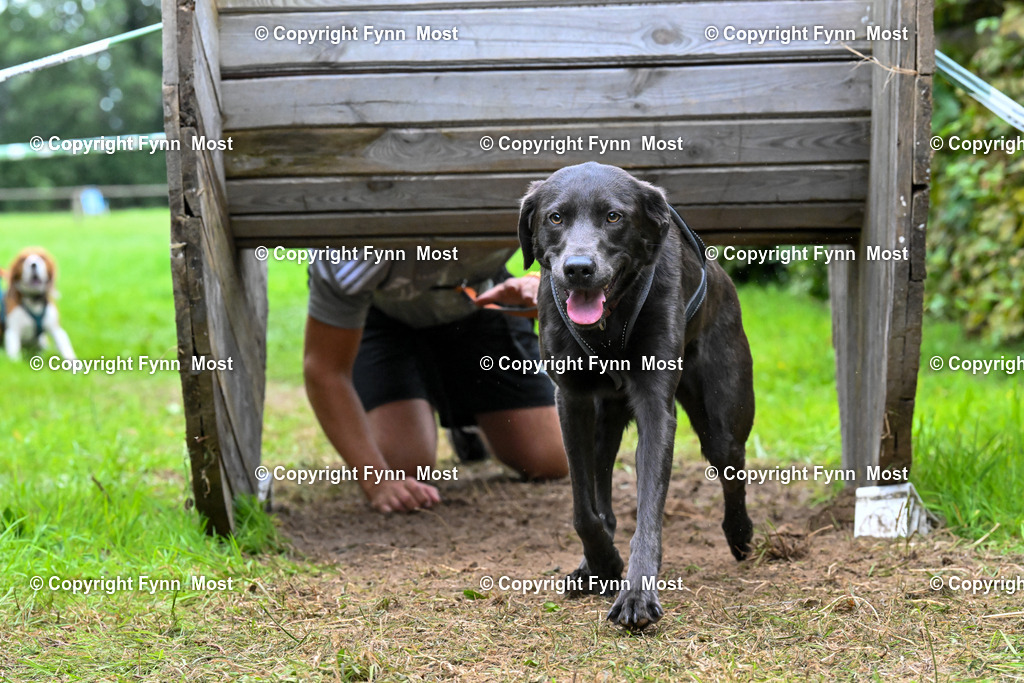 DSC_0897 | Hallo und herzlich Willkommen auf meiner Shop-Seite Fynn Most.

Ich wünsche Dir viel Spaß beim stöbern durch die Bilder, wenn Du Fragen hast oder Bilder vermisst, kannst du mir gerne eine Nachricht schreiben. - Realisiert mit Pictrs.com