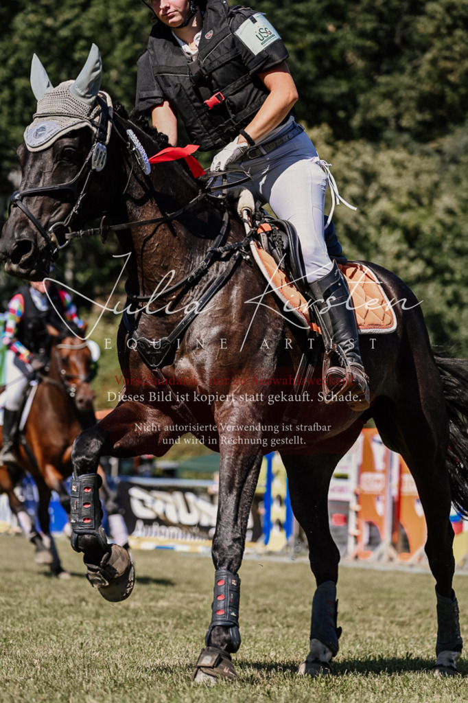 DSC_2607 | Pferde- und Turnierfotografie in Westsachsen. Pferdeportraits, Auftragszeichnungen und intuitive Kunst.