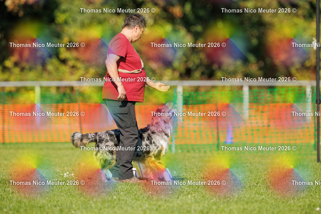 Thomas_Nico_Meuter(C)_04. Oktober 2026_223A2896 | Bild von Thomas Nico Meuter - Realisiert mit Pictrs.com
