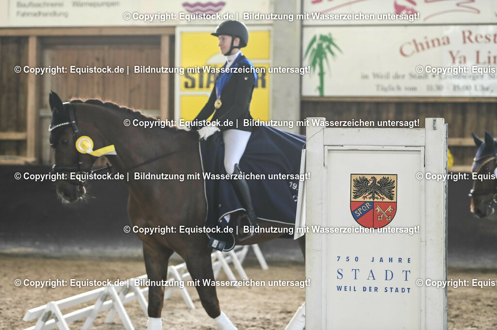 01_Dressur_A_Finale-Volksbank-Championat_0213 | Foto: Thomas Hartig