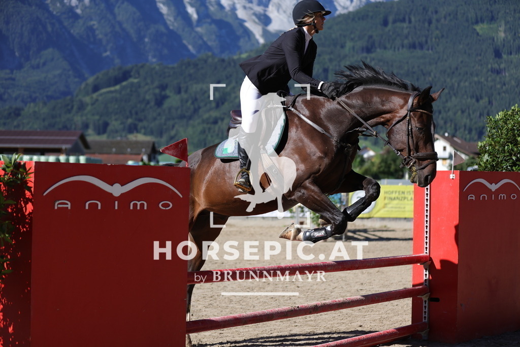 0P6A4743 | Willkommen bei Brunnmayr - Design & Fotografie – Ihrem Spezialisten für Reitturniere und Pferdeveranstaltungen in Oberösterreich, Salzburg und Bayern! Seit über 17 Jahren sind wir leidenschaftlich dabei.
