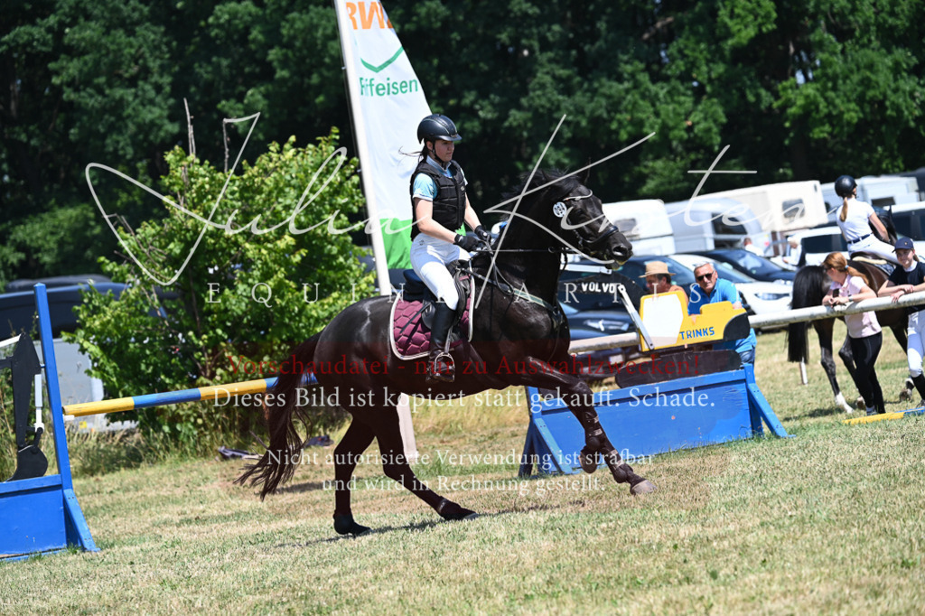 DSC_0706 | Pferde- und Turnierfotografie in Westsachsen. Pferdeportraits, Auftragszeichnungen und intuitive Kunst.