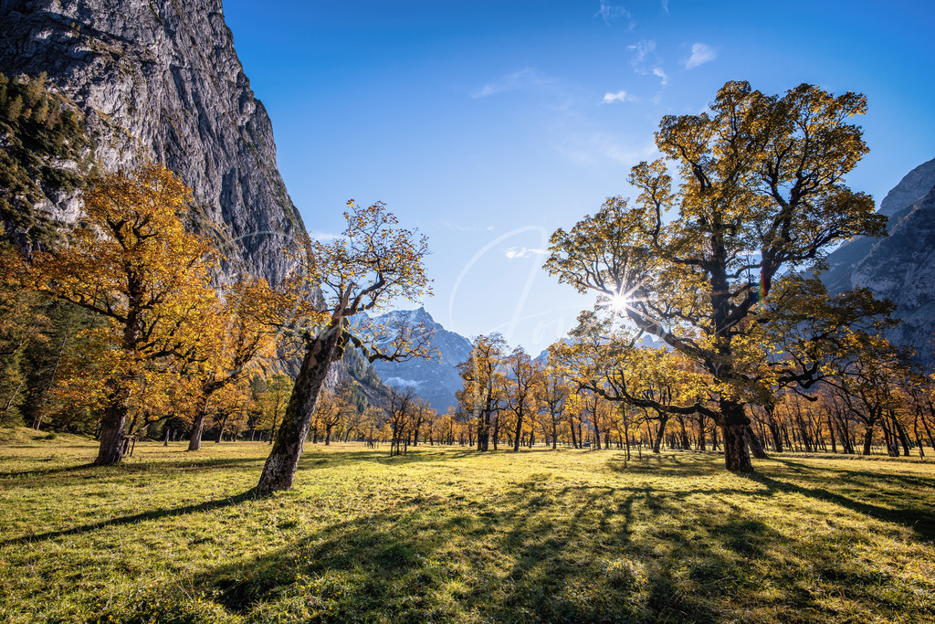 Großer Ahornboden | Herbst am Großen Ahornboden