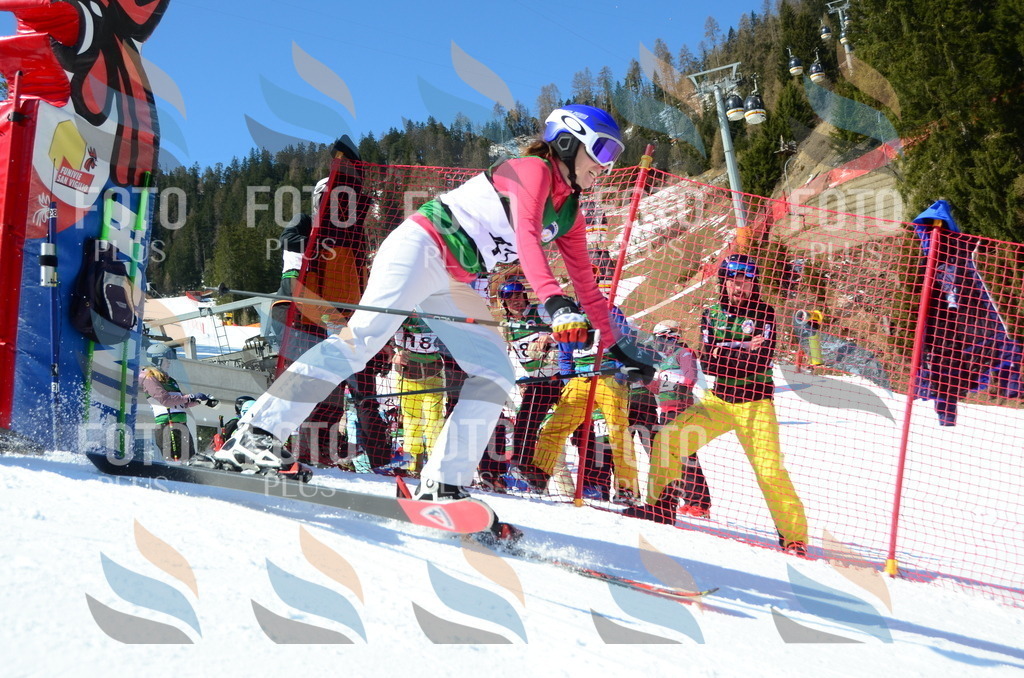 C6255 | holidayphoto