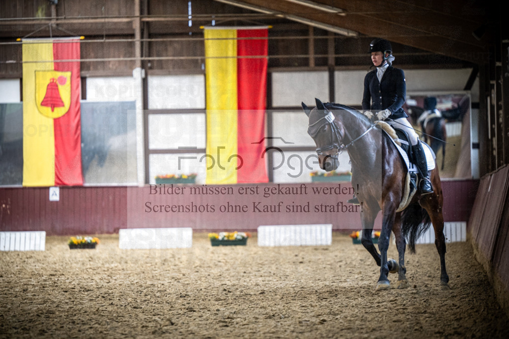 DOS_1073 | Reitturnier Lüdinghausen - Realisiert mit Pictrs.com