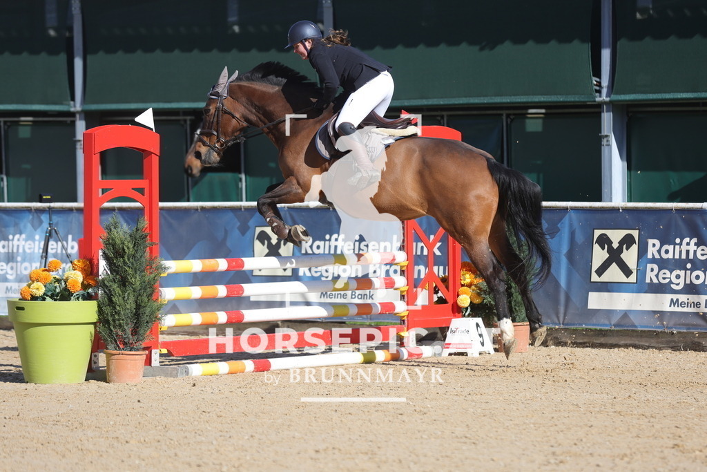 0P6A6883 | Willkommen bei Brunnmayr - Design & Fotografie – Ihrem Spezialisten für Reitturniere und Pferdeveranstaltungen in Oberösterreich, Salzburg und Bayern! Seit über 17 Jahren sind wir leidenschaftlich dabei.